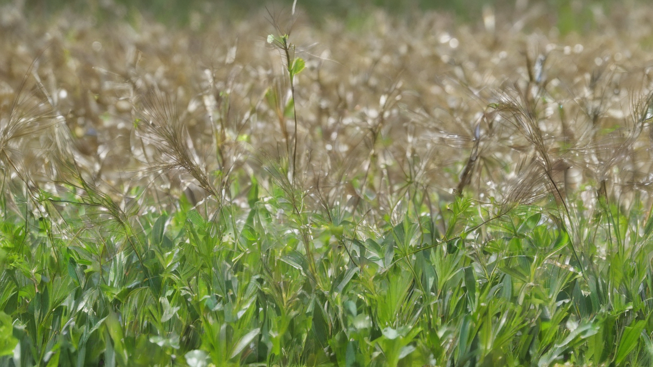 Ekologiczne akcesoria wędkarskie wykonane z biodegradowalnych materiałów na naturalnym tle